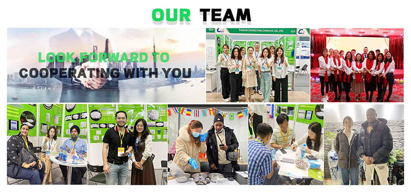 our-team